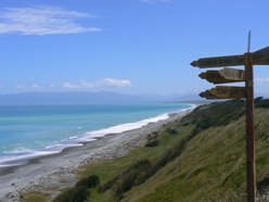 New Zealand's South Coast at Te Waewae Bay New Zealand's South Coast at Te Waewae Bay